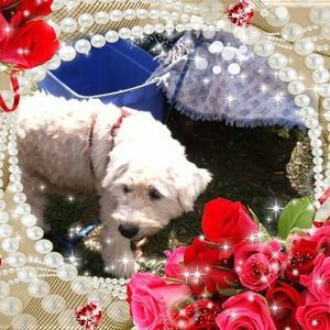 Meet your Posher, Becky